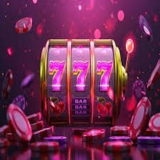 pkp bet